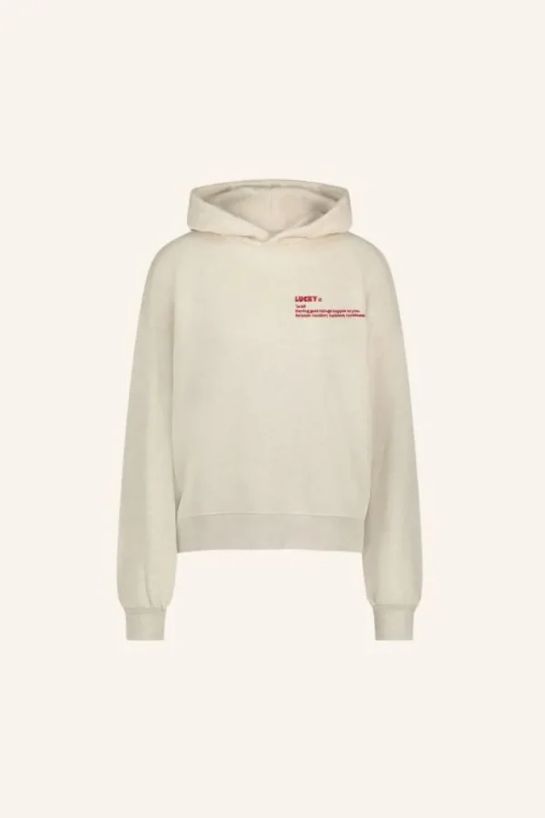 dictionary hoodie | oyster melee-By bar Store