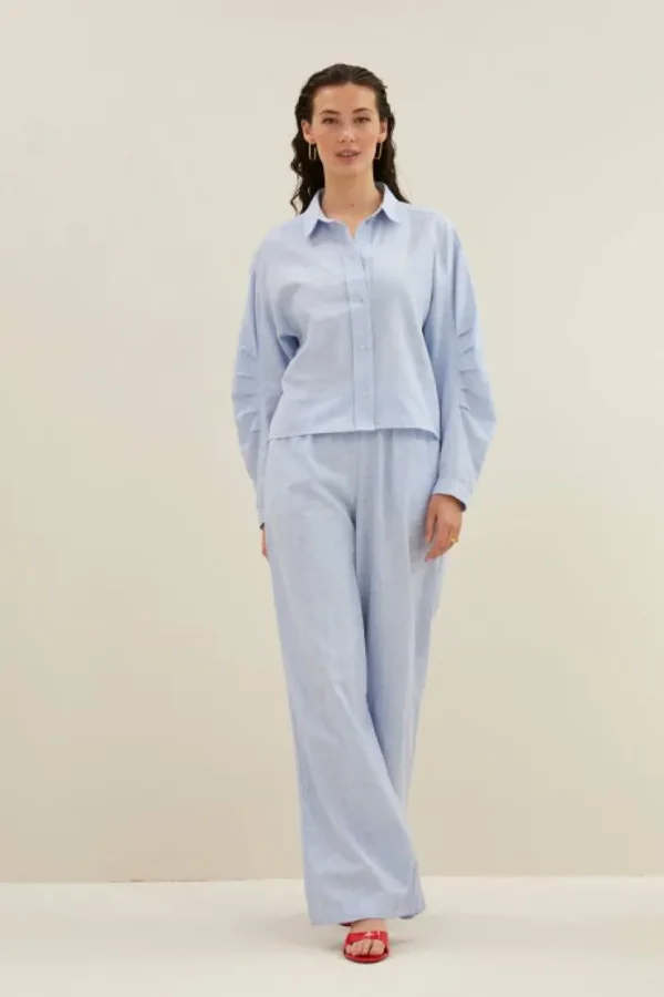 penny pinstripe blouse | sky blue-By bar Fashion